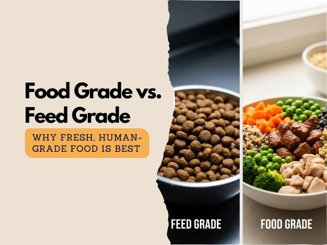 Food Grade vs. Feed Grade Pet Food: Why Fresh, Human-Grade Food is Essential for Your Dog’s Health