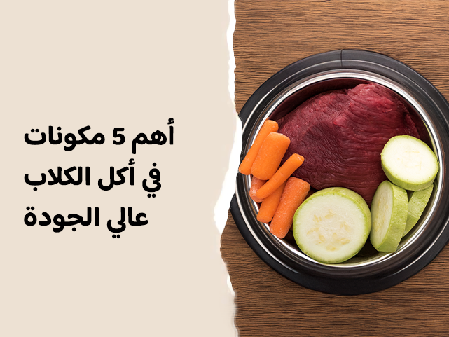 كيفية اختيار أكل كلاب عالي الجودة: أهم 5 مكونات في أكل الكلاب