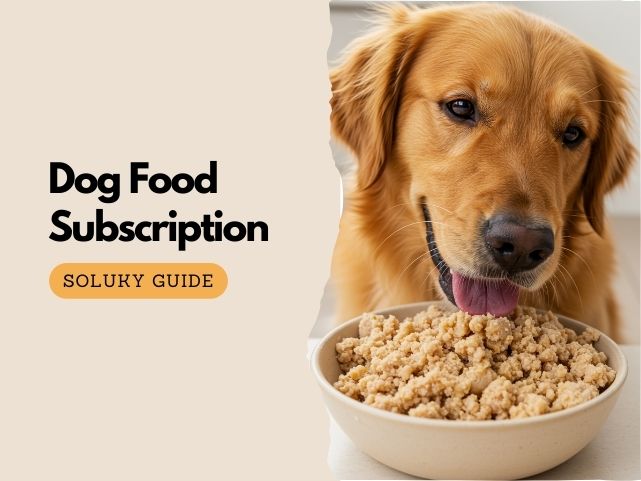 How to Create and Manage Your Pet Food Subscription with Soluky