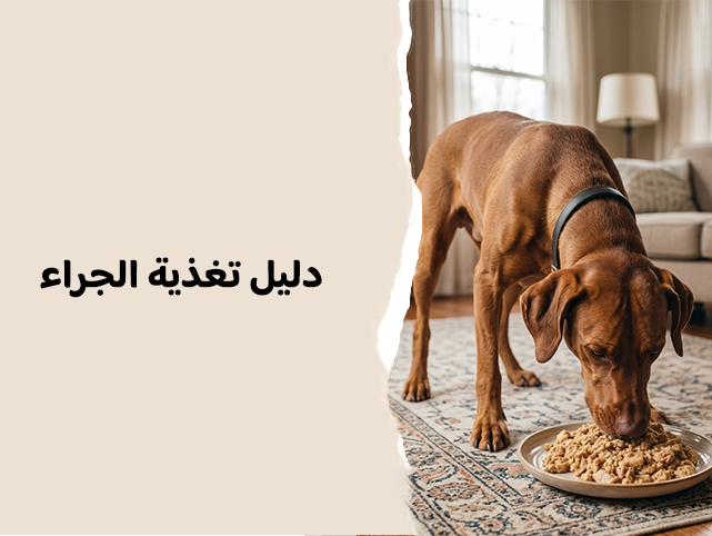 كم يحتاج الجرو من الطعام؟ الدليل الكامل لتغذية الجراء