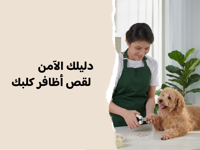 دليلك لقص أظافر كلبك في المنزل بأمان