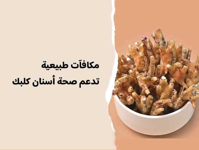 المكافآت الطبيعية القابلة للمضغ: طريق صحي لأسنان أنظف للكلاب