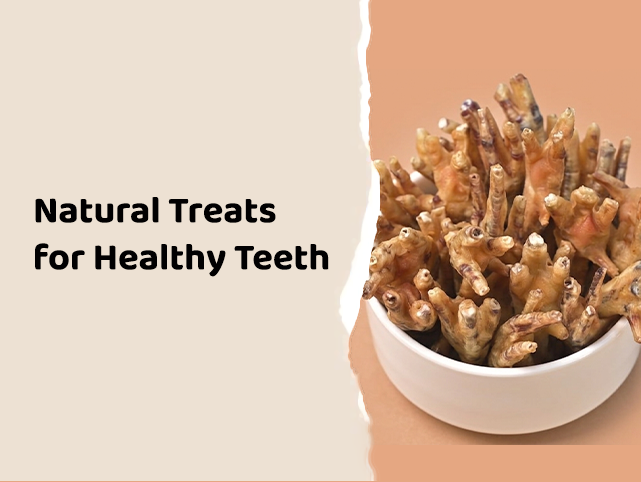 Natural Chews: A Healthier Path to Clean Dog Teeth