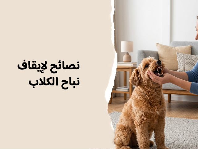 كيف توقف نباح الكلاب؟ أهم النصائح لتهدئة الكلب