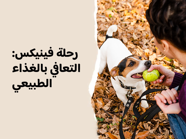 دراسة حالة: فينيكس – التعافي يبدأ من الطعام الطبيعي