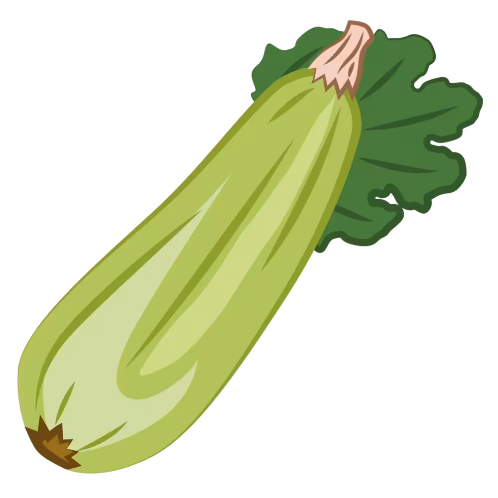 Zucchini