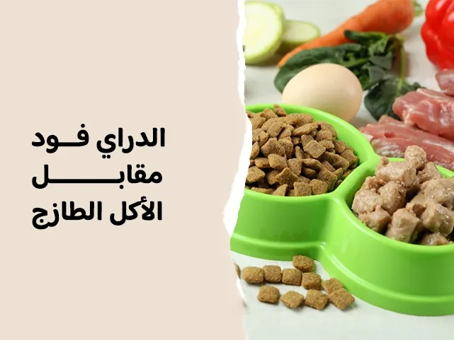 الدراي فود مقابل الأكل الطازج: أيهما أفضل لصحة أليفك؟