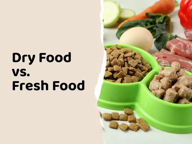 Dry Food VS. Fresh Food: Which Is Better For Your Pet's Health?