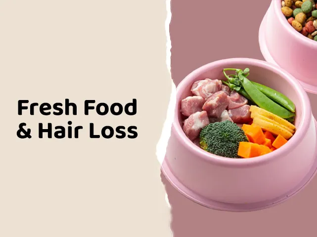 Does Fresh Food Help To Reduce Hair Loss in Cats and Dogs?