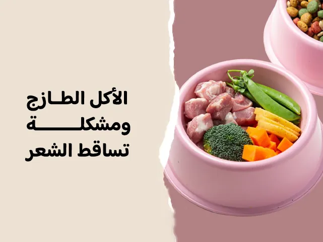 هل الأكل الطازج يحل مشكلة تساقط الشعر عند القطط والكلاب؟