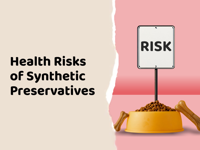 The Risks of Preservatives in Commercial Cat and Dog Food