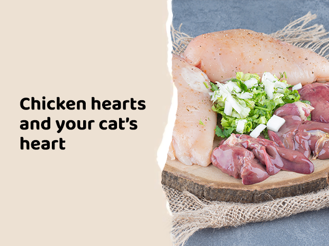 Heart Health: Why We Use Real Chicken Hearts Instead of Synthetic Powders