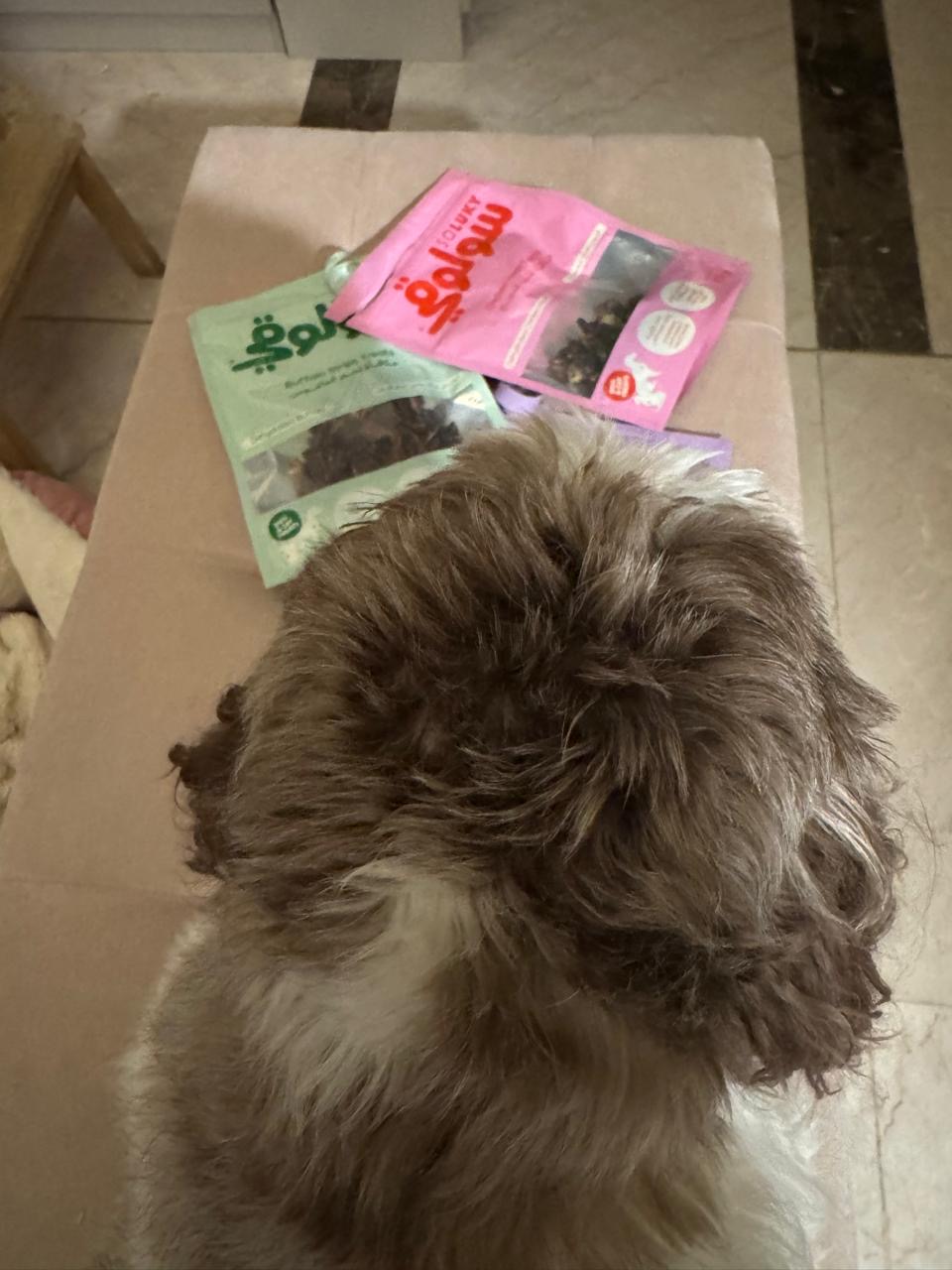 @soluky_pet