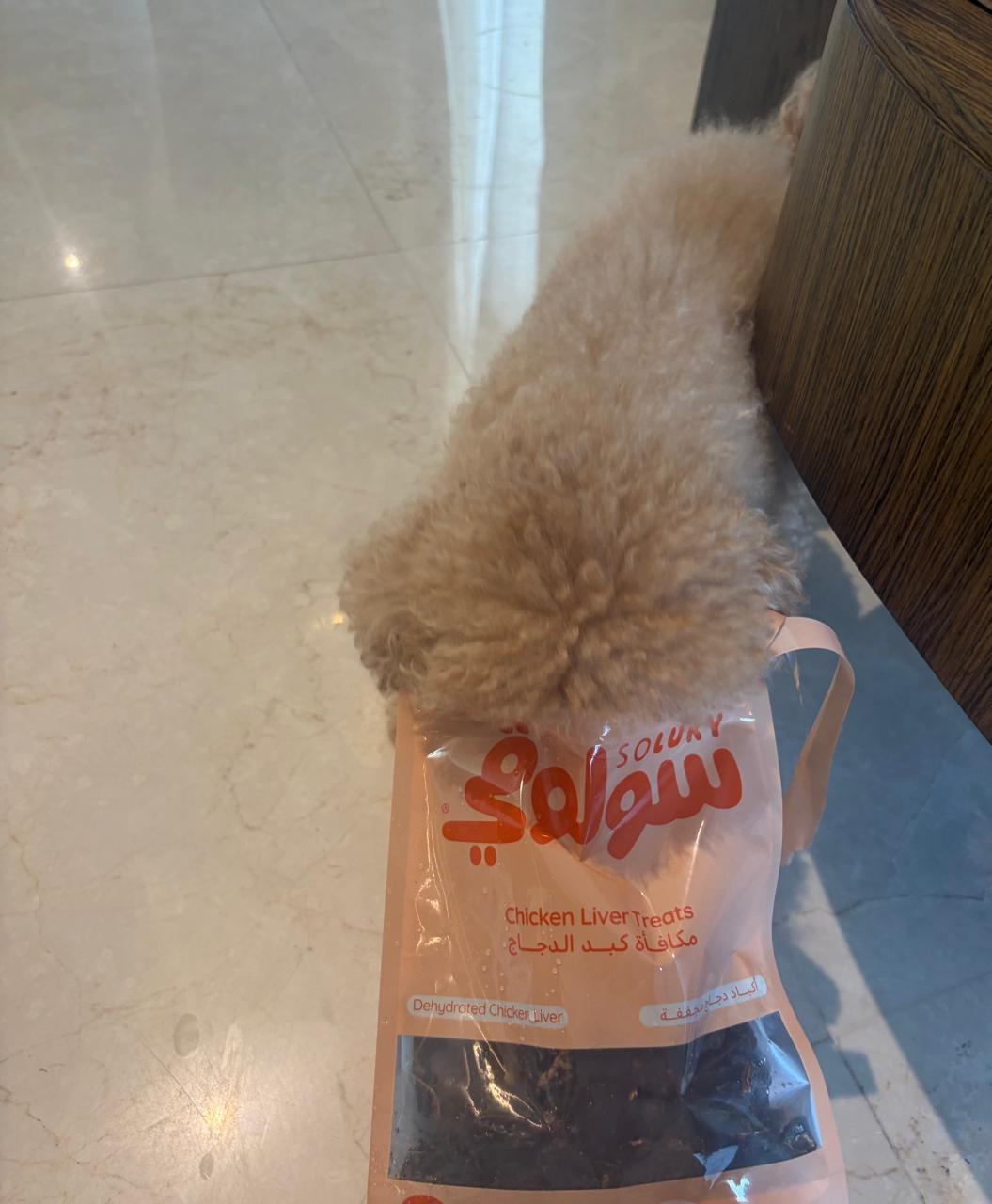@soluky_pet