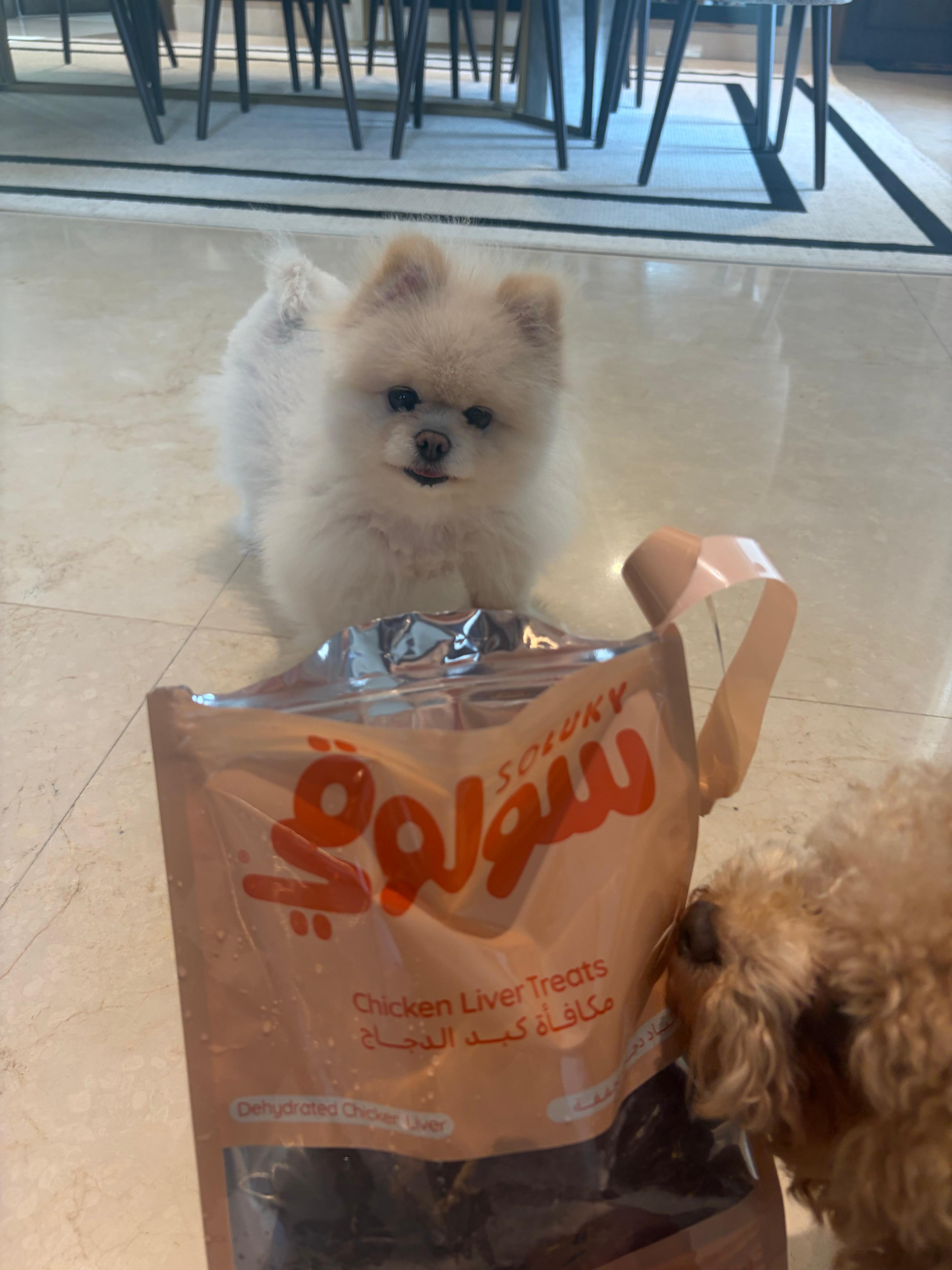 @soluky_pet
