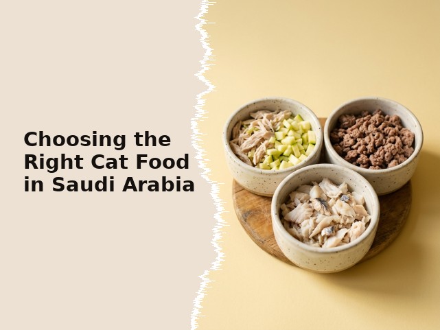 Best Cat Food in Saudi Arabia: How to Choose What Goes in the Bowl