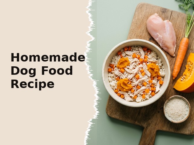 Homemade Dog Food Recipe: A Vet-Balanced Guide (and What Most Recipes Miss)